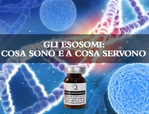 Esosomi: Cosa sono e a cosa servono
